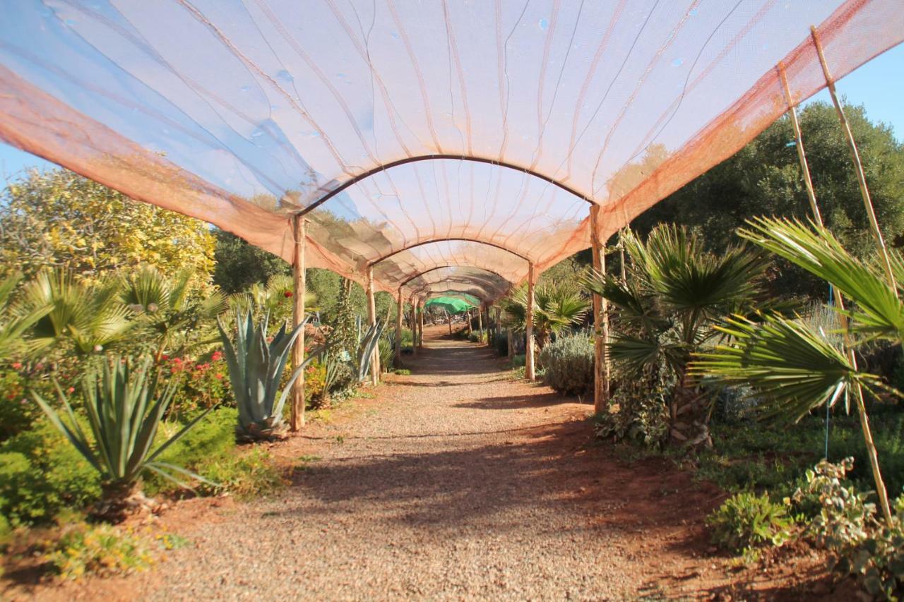 Ecolodge Espace Tamount Демнат Экстерьер фото